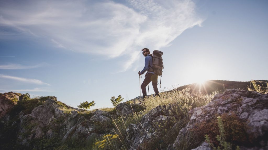 Monter en hauteur pour lutter contre la chaleur